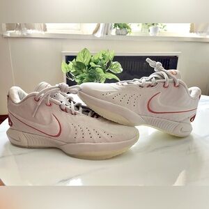 Brand New Nike LeBron XXI 21 “Akoya” sz 9.5M
